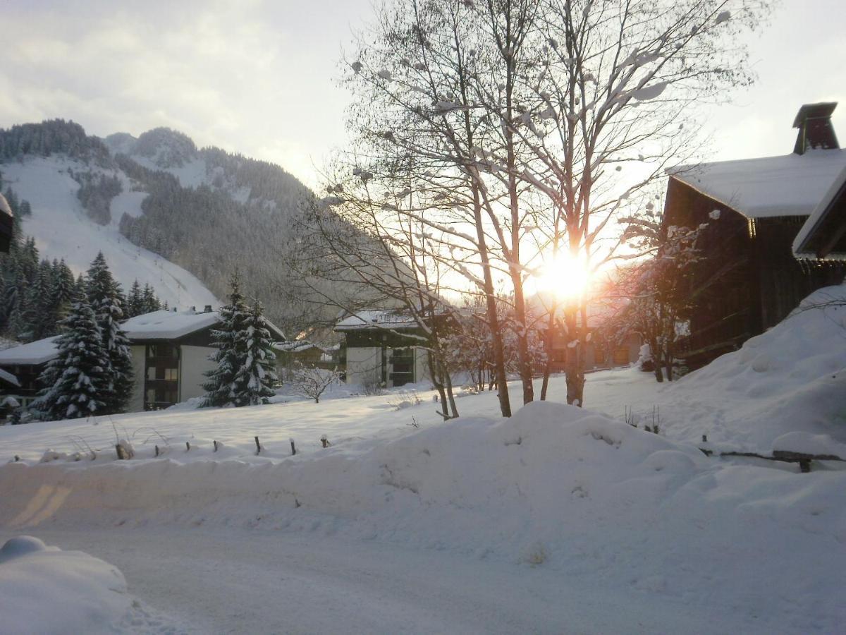 Appartement Azalee Châtel Buitenkant foto